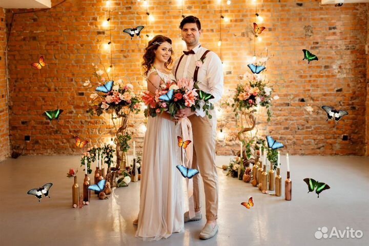 Салют из Живых Тропических Бабочек с/б-32