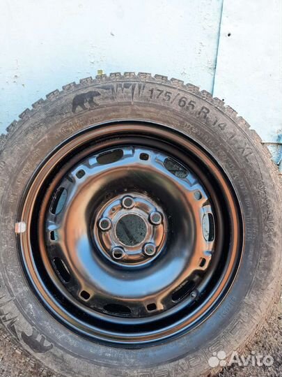 Gislaved Frost 175/65 R14