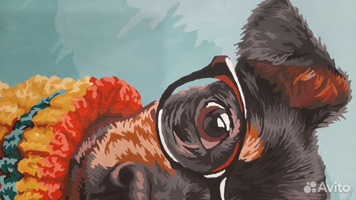 Картина собака. Той (картина по номерам, готовая)