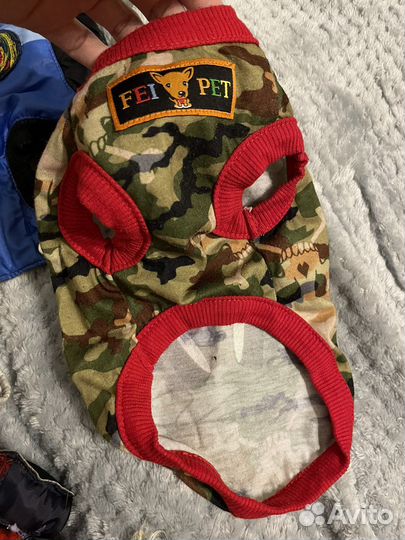 Вещи для маленьких собак