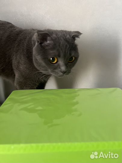 Кубики для растяжки