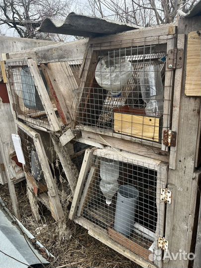 Клетка для кролика