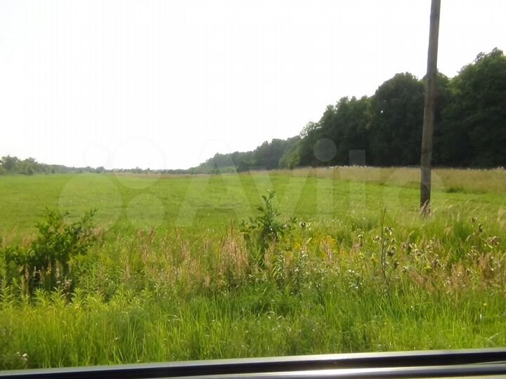 Участок 100 сот. (СНТ, ДНП)