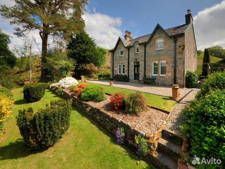 Рулонный газон под ключ