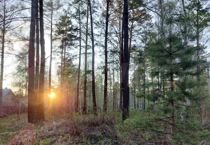 Участок 9 сот. (СНТ, ДНП)