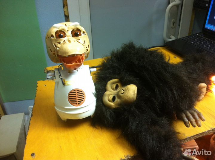 Ремонт Фёрби Zoomer Anki Wow и др электроники