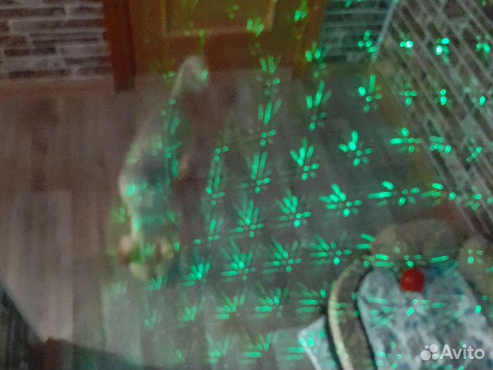 Лазерный проектор