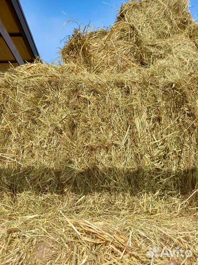 Сено в рулонах/Доставка/опт