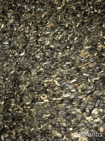 Отходы семечки