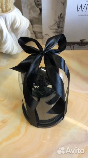 Чёрная роза. Роза не вянущая