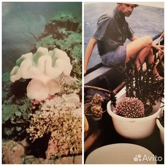 Книги от 50. договоримся