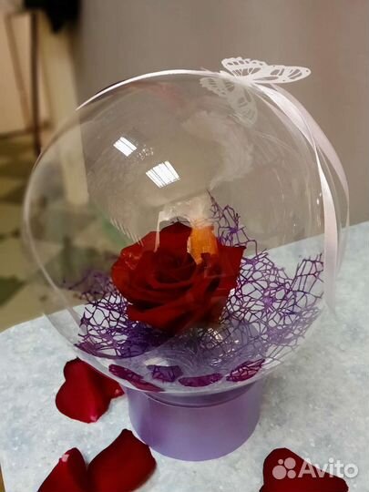 Роза в шаре