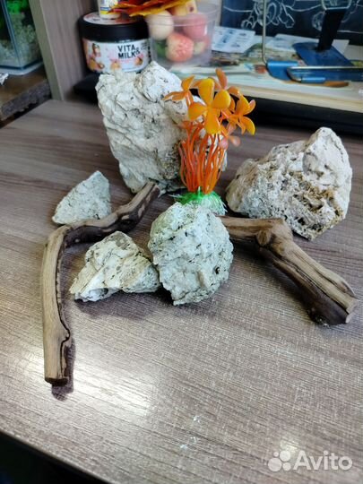 Декор для аквариума