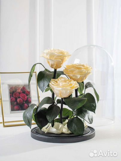 Роза в колбе оптом