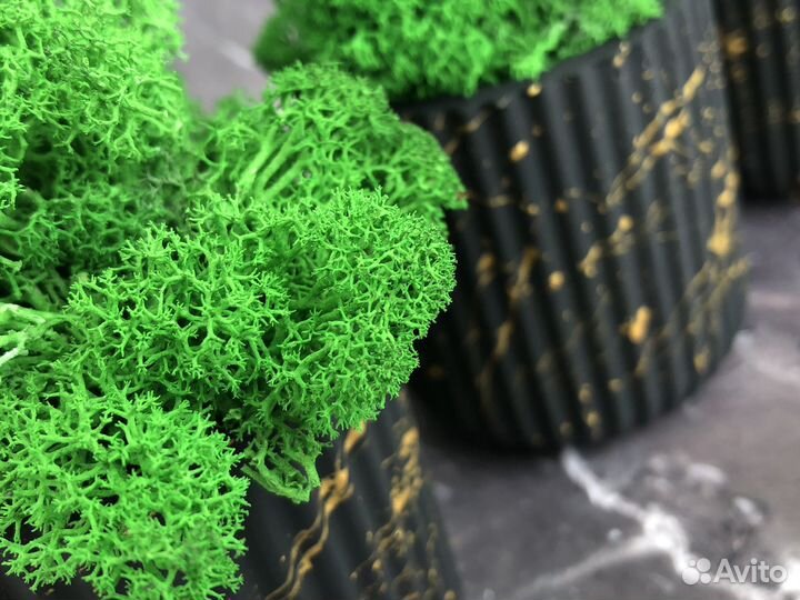 Кашпо с осокой/ягелем