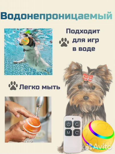 Автоматический умный мяч для собак с пультом