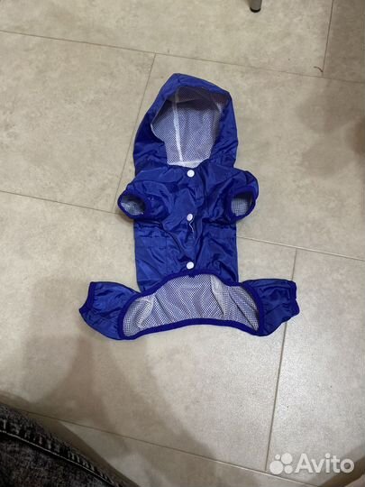 Одежда для собак