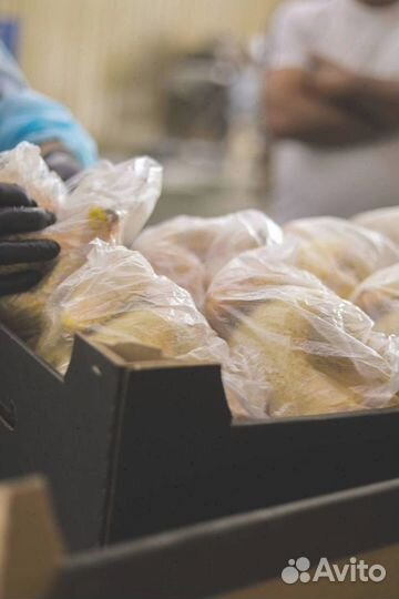 Домашний бройлер