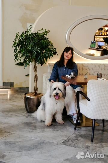 Кинолог зоопсихолог