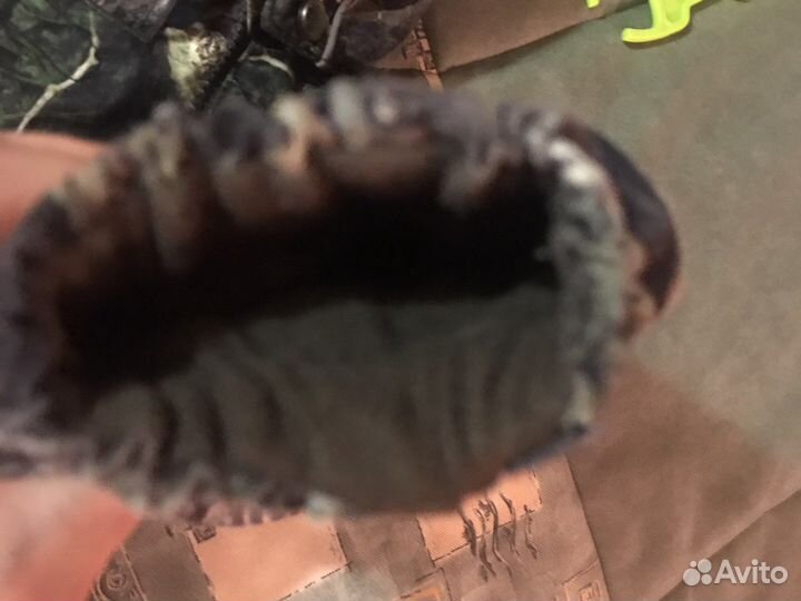 Комбинезон molo