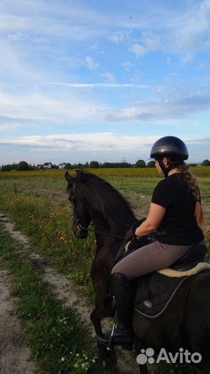 Конные прогулки