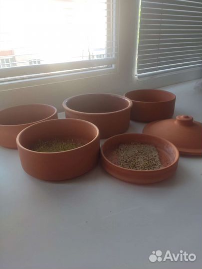 Глиняный проращиватель керамика Tonkeimer