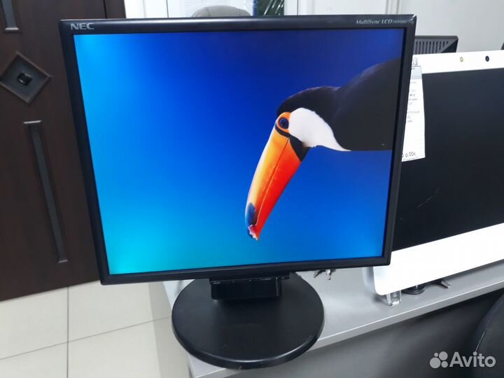 Монитор LCD NEC 195VXM+ со звуком 19''