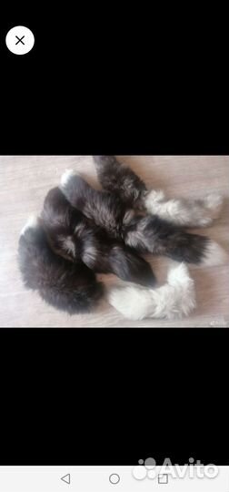 Хвосты меха