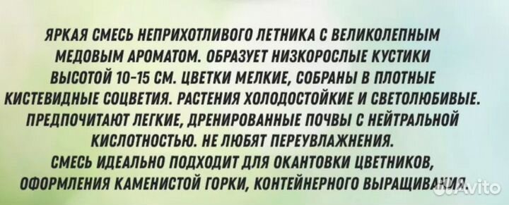 Продам рассаду Алиссум