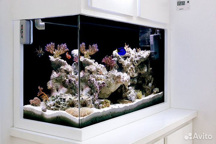 Обслуживание аквариумов