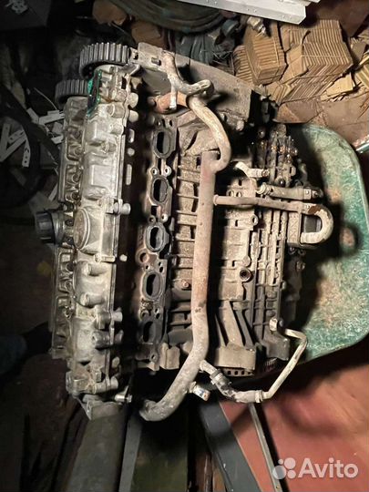 Двигатель в5244т3