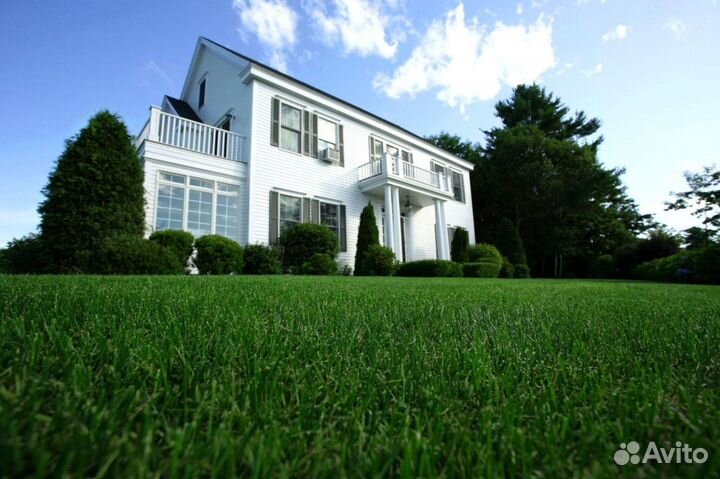 Газон рулонный от производителя