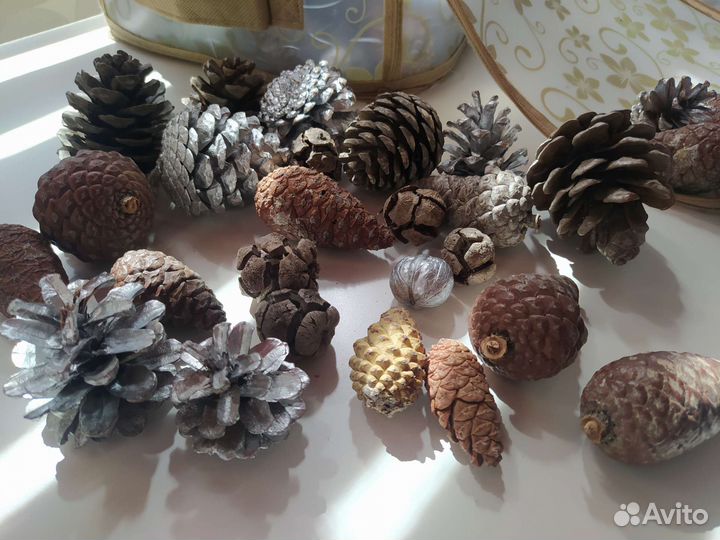 Шишки для декора, набор