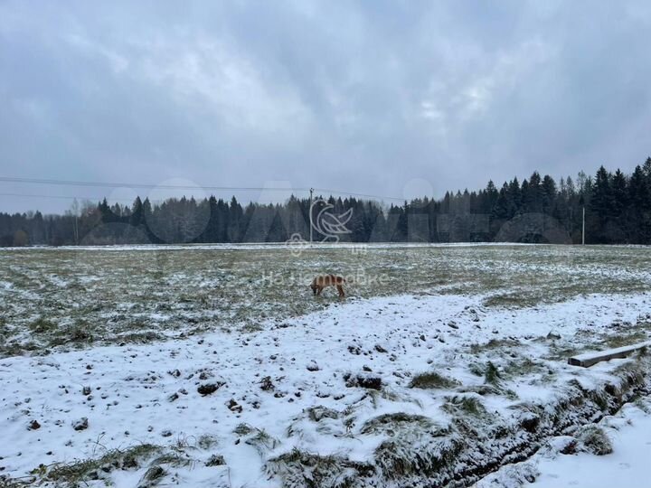 Участок 7 сот. (ИЖС)