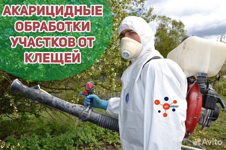 Обработка участка от насекомых