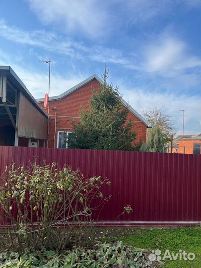 Елка 6 метров