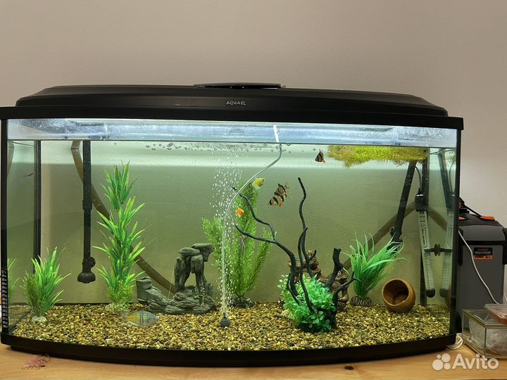 Аквариум aquael 200 литров с фильтром