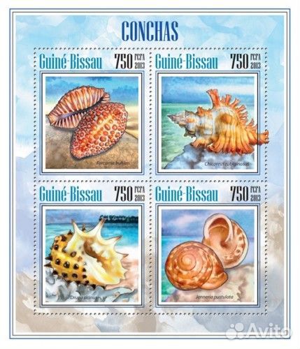 Гвинея-Биссау, 2013. (gb13703) Морская фауна (мл+б