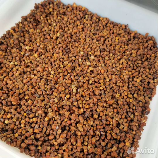 Перга пчелиная (сбор 2023)