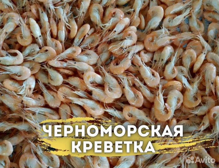 Черноморская креветка. Свежий вылов