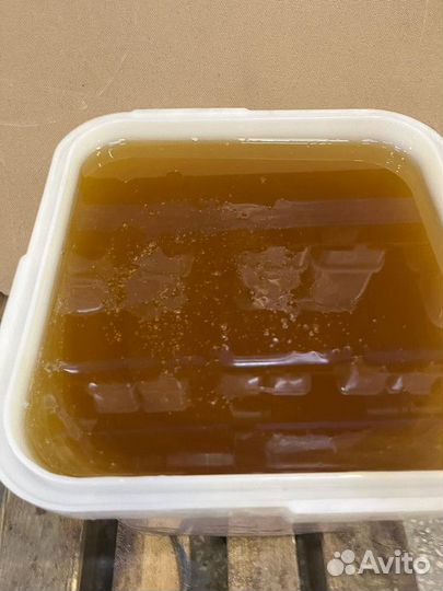 Свежий мед майский оптом