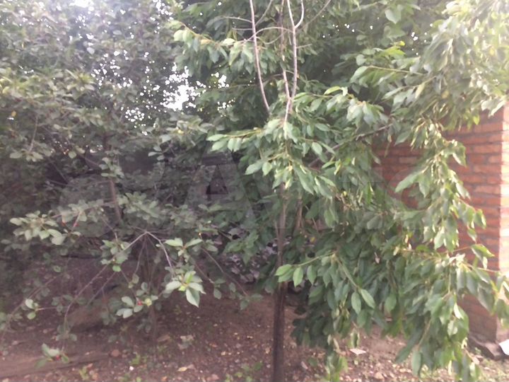 Дом 70,2 м² на участке 7 сот.