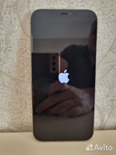 iPhone 12 Pro Max, 256 ГБ