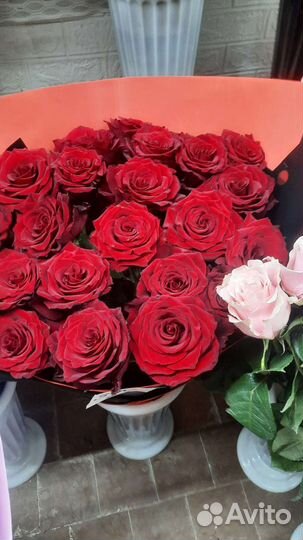 Розы любое количество