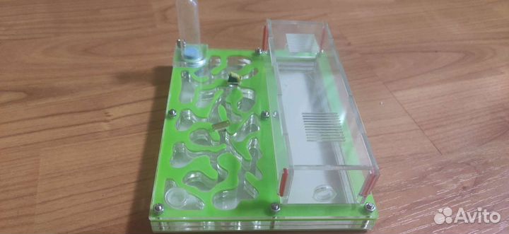 Муравьиная ферма без муравьев