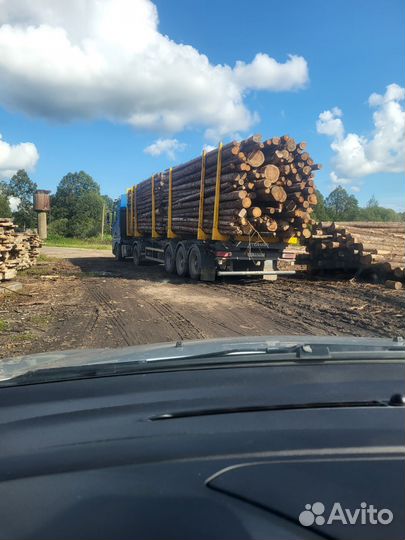 Перевозки леса