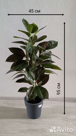 Искусственные деревья Пальма Фикусы