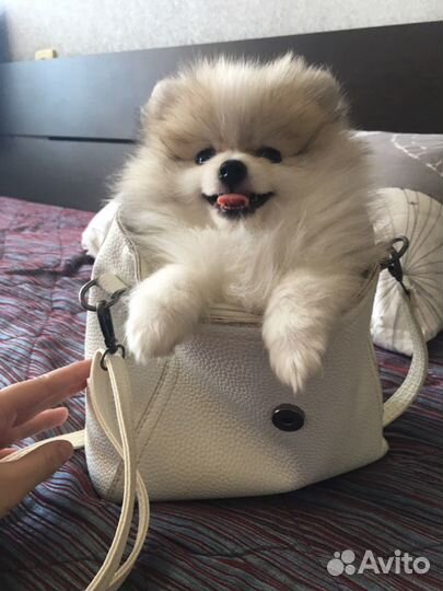 Вязка не продается