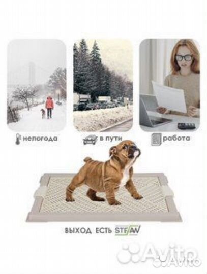 Лоток туалет для собак