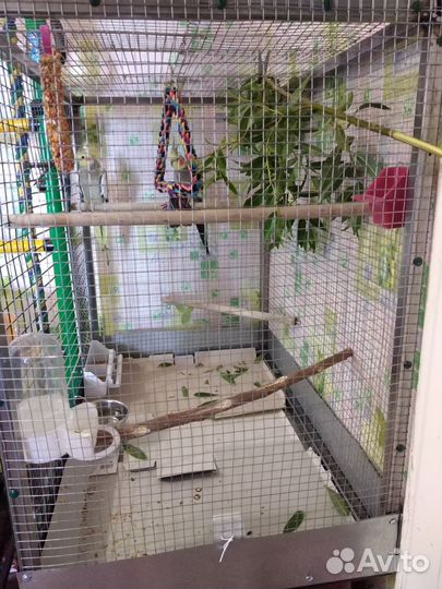 Клетка для птиц